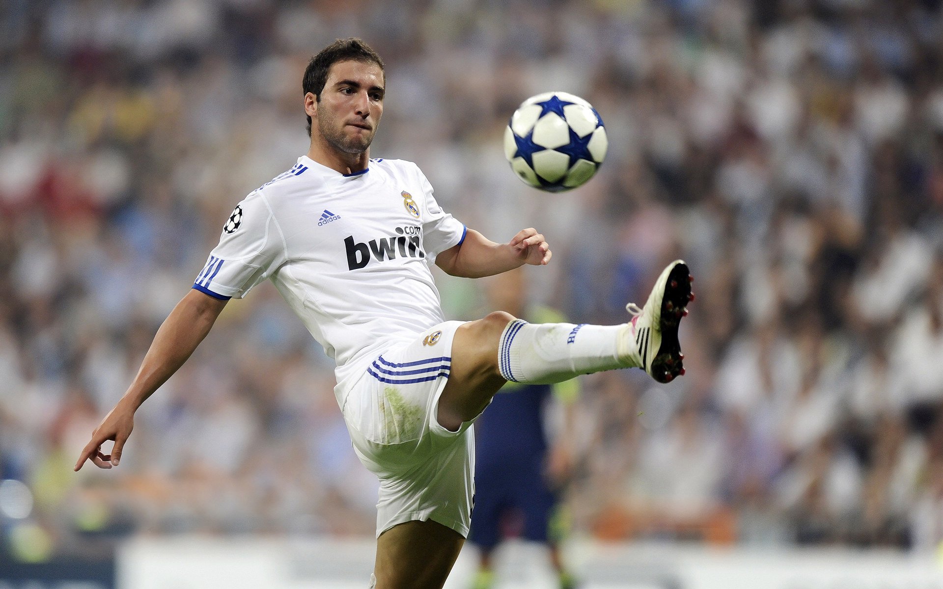 孤胆骑士与掘金之墙,福克斯的火焰如何撕裂高原防线